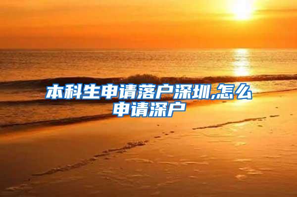 本科生申请落户深圳,怎么申请深户
