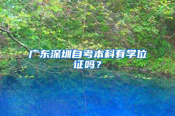广东深圳自考本科有学位证吗？