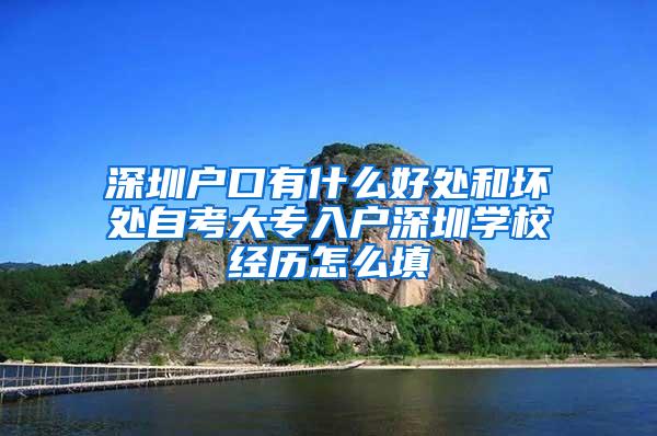 深圳户口有什么好处和坏处自考大专入户深圳学校经历怎么填