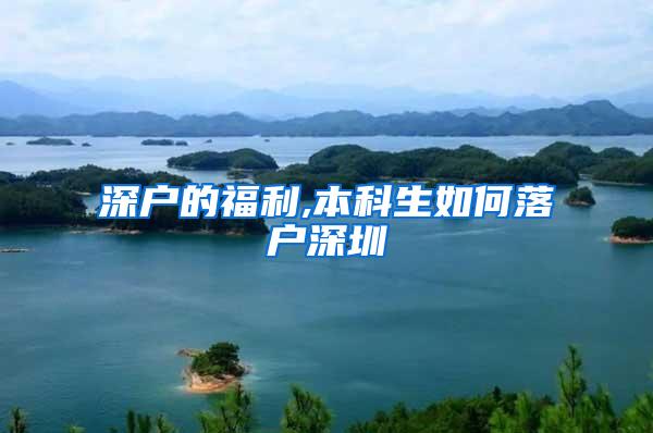 深户的福利,本科生如何落户深圳