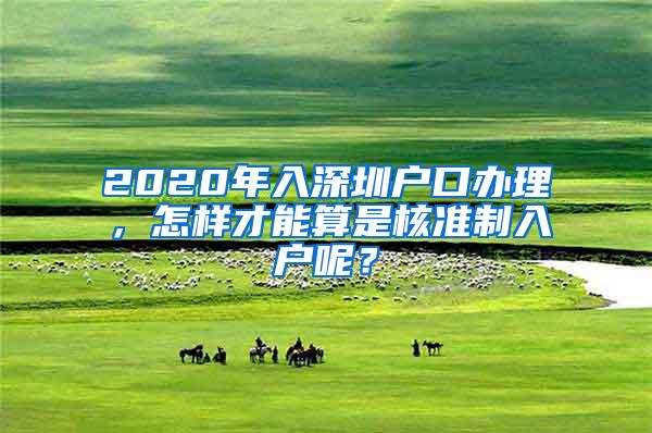 2020年入深圳户口办理，怎样才能算是核准制入户呢？