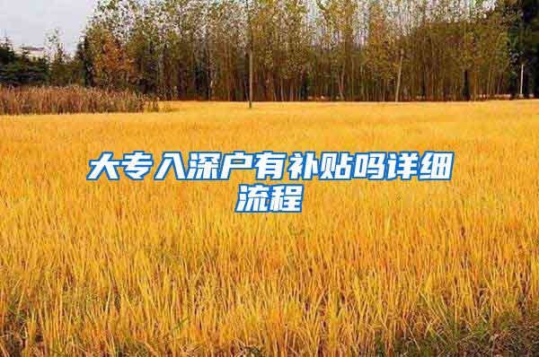 大专入深户有补贴吗详细流程