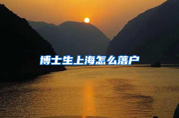 博士生上海怎么落户