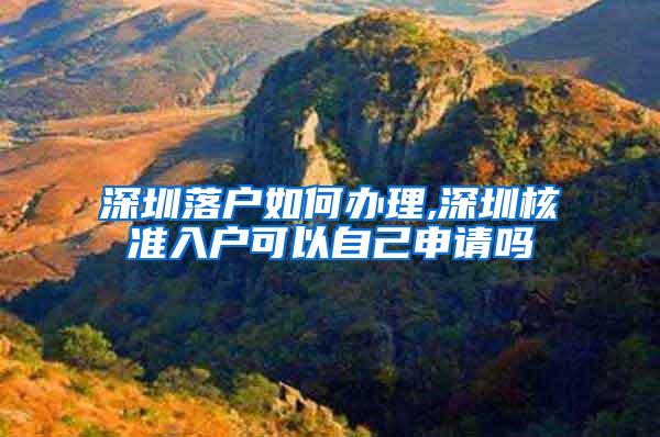 深圳落户如何办理,深圳核准入户可以自己申请吗