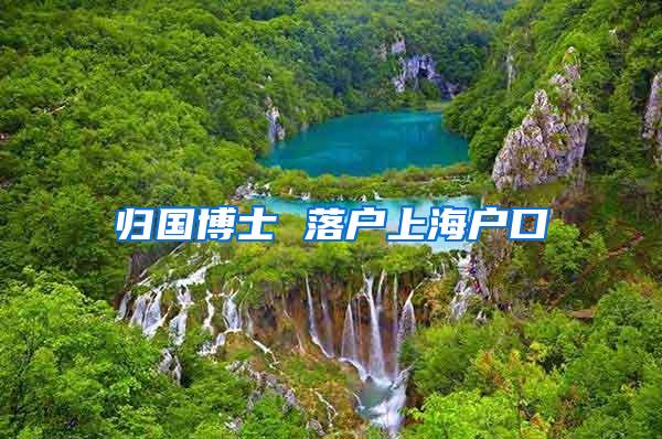 归国博士 落户上海户口