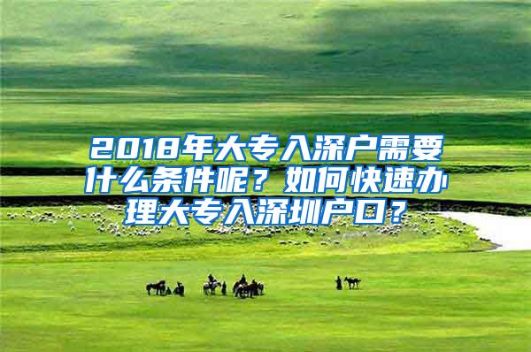 2018年大专入深户需要什么条件呢？如何快速办理大专入深圳户口？