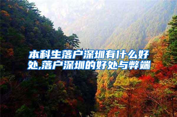 本科生落户深圳有什么好处,落户深圳的好处与弊端