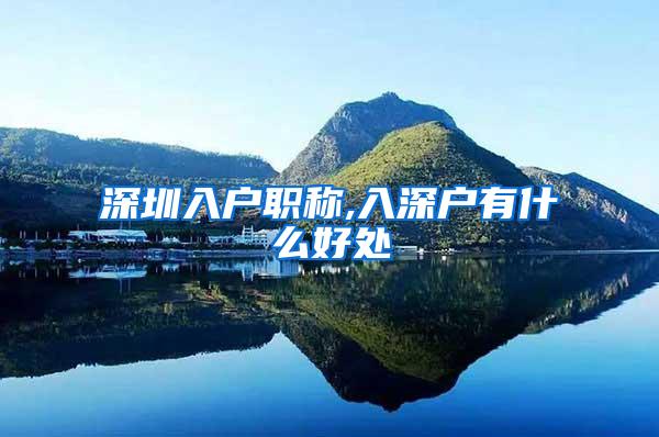 深圳入户职称,入深户有什么好处