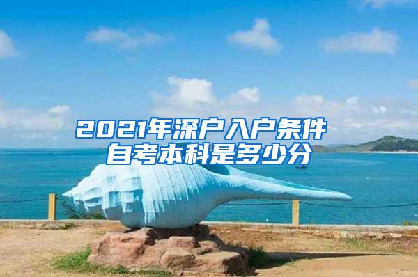 2021年深户入户条件 自考本科是多少分