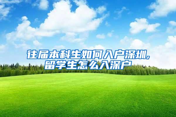 往届本科生如何入户深圳,留学生怎么入深户