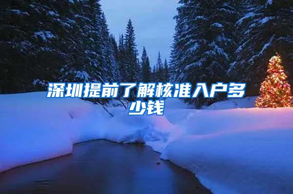 深圳提前了解核准入户多少钱