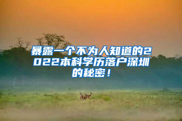 暴露一个不为人知道的2022本科学历落户深圳的秘密！