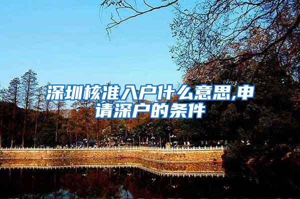 深圳核准入户什么意思,申请深户的条件