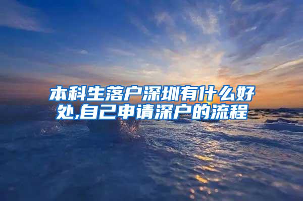 本科生落户深圳有什么好处,自己申请深户的流程