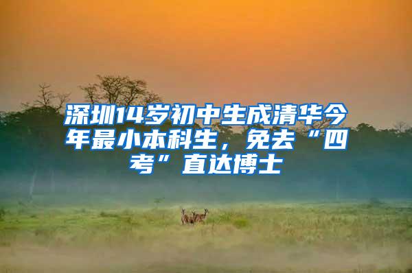 深圳14岁初中生成清华今年最小本科生，免去“四考”直达博士