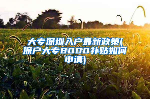 大专深圳入户最新政策(深户大专8000补贴如何申请)
