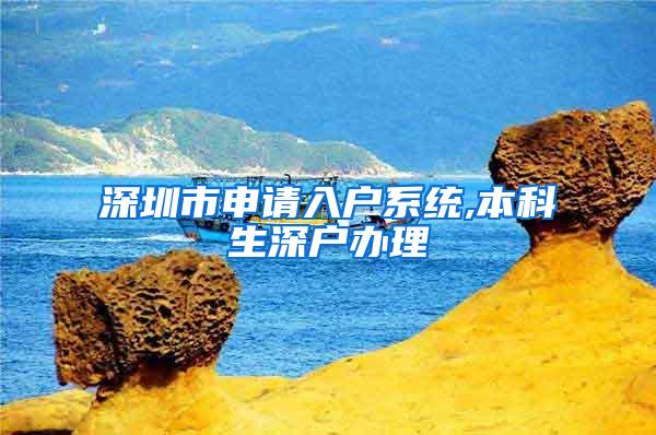 深圳市申请入户系统,本科生深户办理