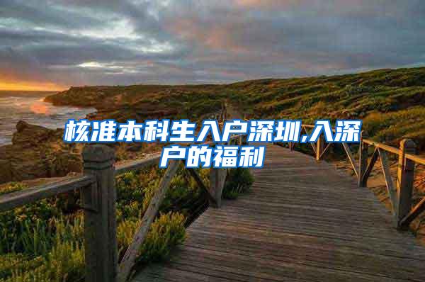 核准本科生入户深圳,入深户的福利