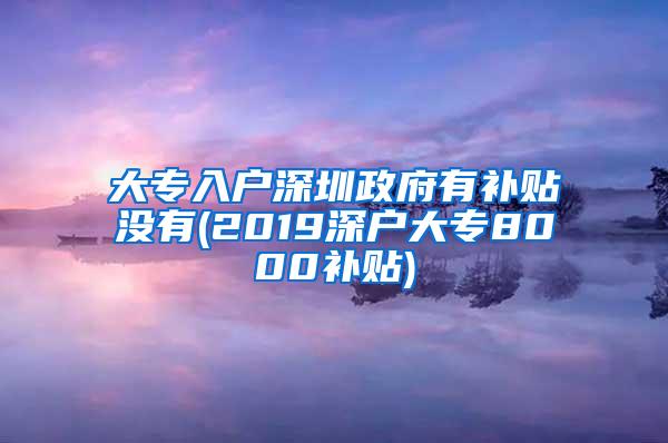 大专入户深圳政府有补贴没有(2019深户大专8000补贴)