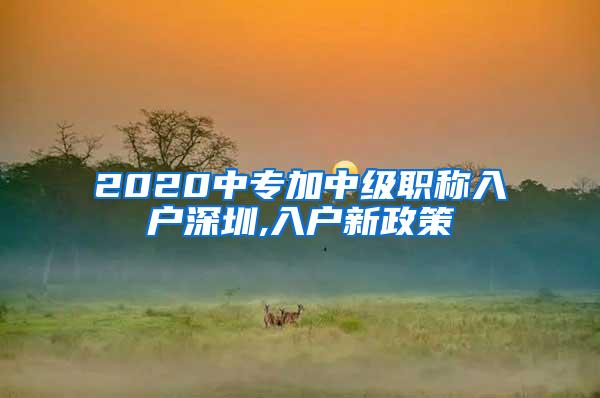 2020中专加中级职称入户深圳,入户新政策