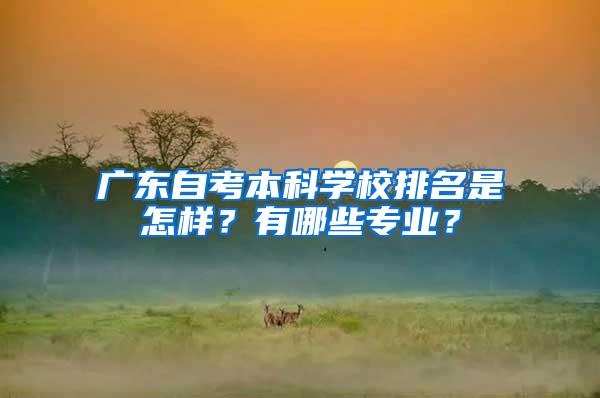 广东自考本科学校排名是怎样？有哪些专业？