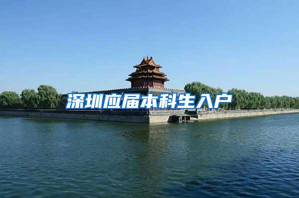 深圳应届本科生入户