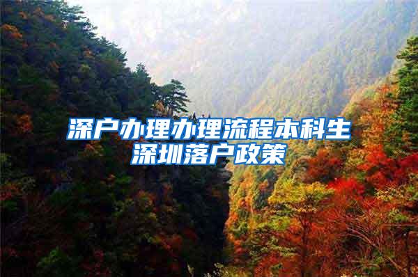 深户办理办理流程本科生深圳落户政策