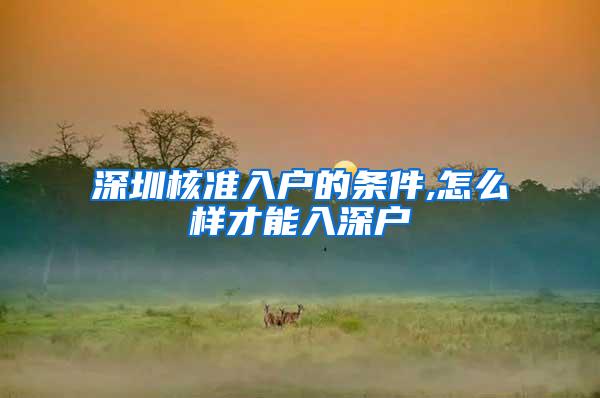 深圳核准入户的条件,怎么样才能入深户