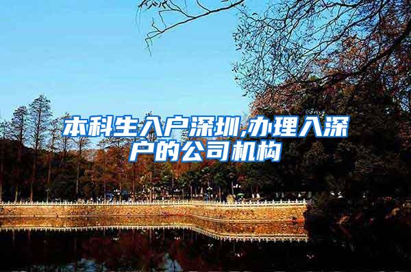本科生入户深圳,办理入深户的公司机构