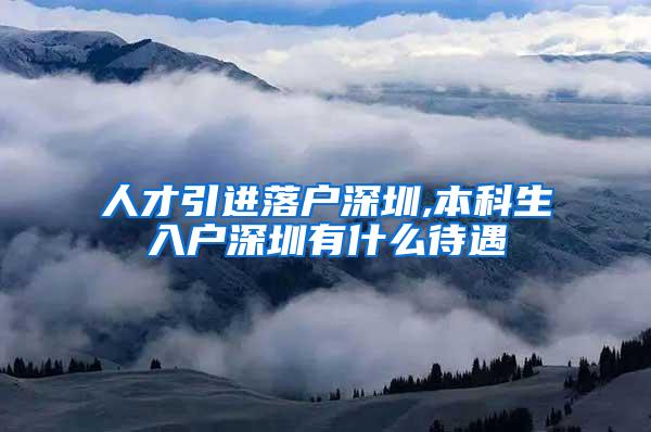 人才引进落户深圳,本科生入户深圳有什么待遇