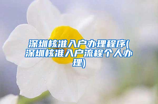 深圳核准入户办理程序(深圳核准入户流程个人办理)
