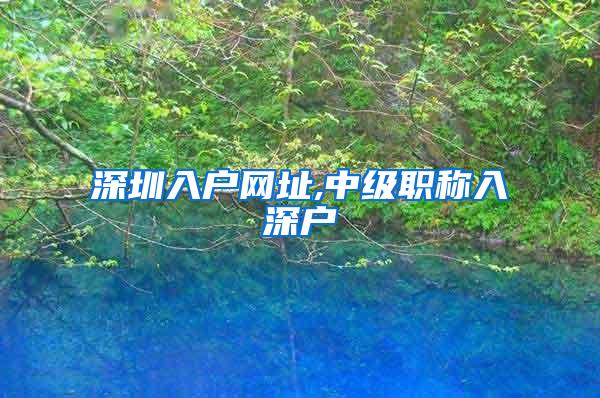 深圳入户网址,中级职称入深户