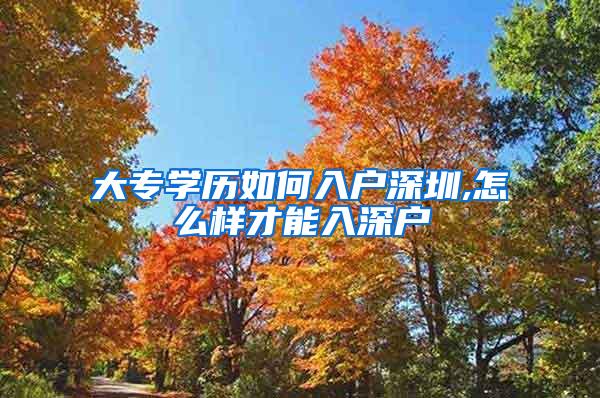 大专学历如何入户深圳,怎么样才能入深户
