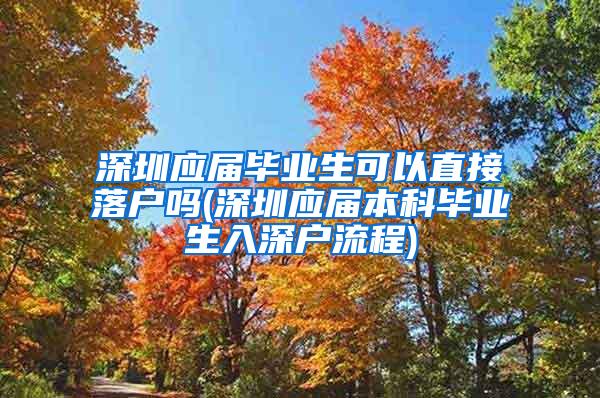 深圳应届毕业生可以直接落户吗(深圳应届本科毕业生入深户流程)