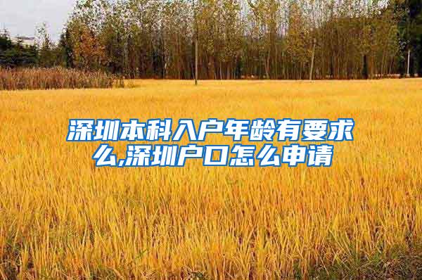 深圳本科入户年龄有要求么,深圳户口怎么申请