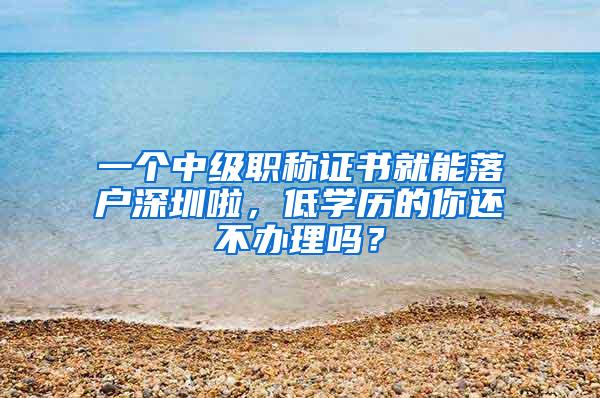 一个中级职称证书就能落户深圳啦，低学历的你还不办理吗？