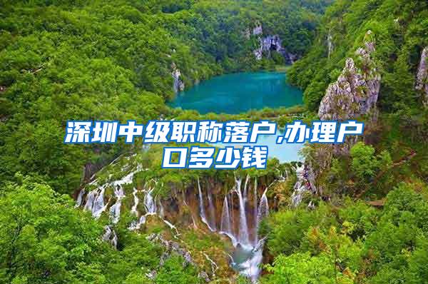 深圳中级职称落户,办理户口多少钱