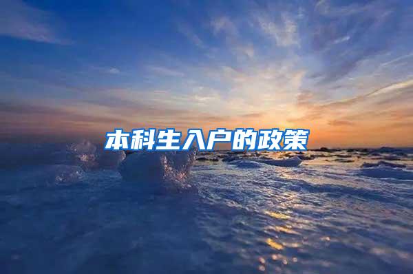 本科生入户的政策