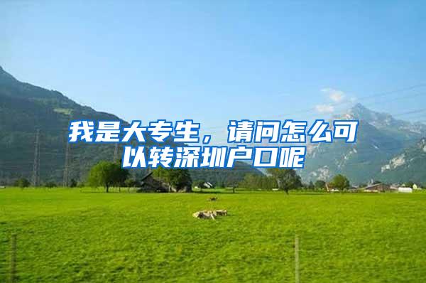 我是大专生，请问怎么可以转深圳户口呢