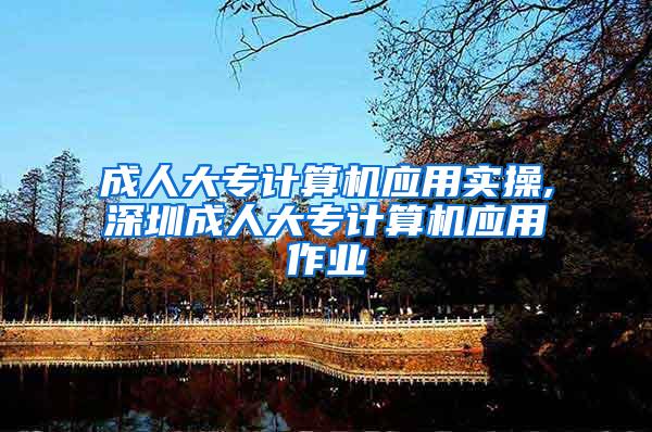 成人大专计算机应用实操,深圳成人大专计算机应用作业