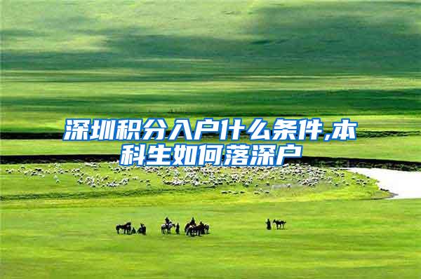 深圳积分入户什么条件,本科生如何落深户