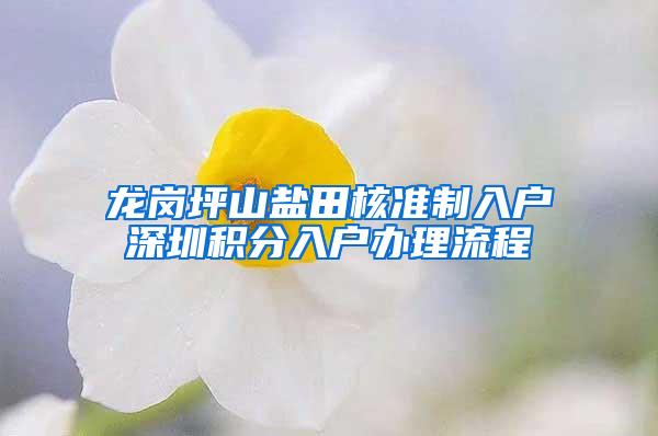 龙岗坪山盐田核准制入户深圳积分入户办理流程