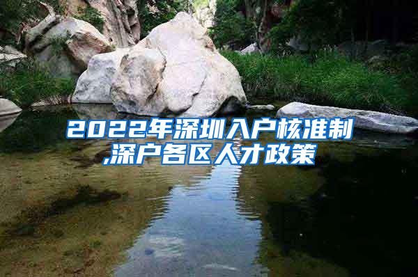 2022年深圳入户核准制,深户各区人才政策