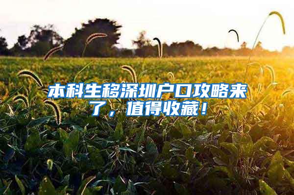 本科生移深圳户口攻略来了，值得收藏！