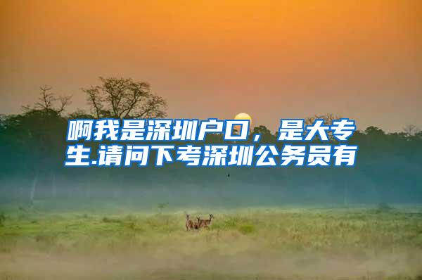 啊我是深圳户口，是大专生.请问下考深圳公务员有