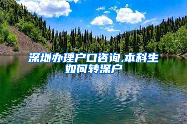 深圳办理户口咨询,本科生如何转深户