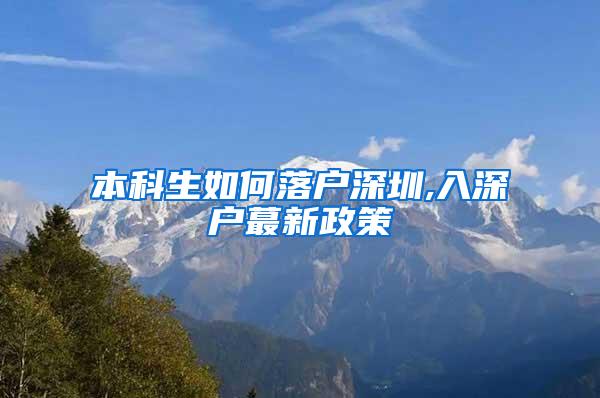 本科生如何落户深圳,入深户蕞新政策