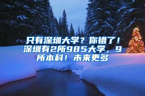 只有深圳大学？你错了！深圳有2所985大学，9所本科！未来更多