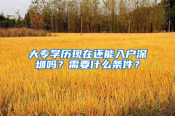 大专学历现在还能入户深圳吗？需要什么条件？