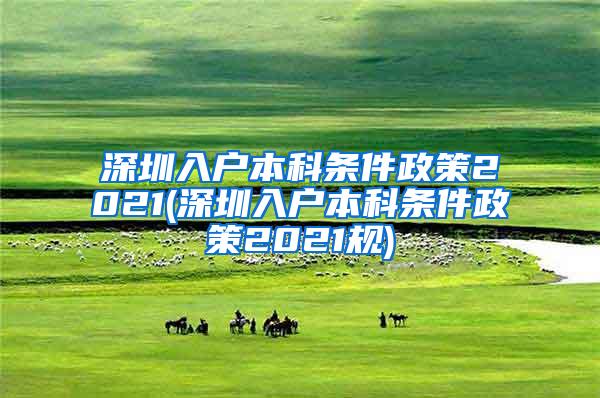 深圳入户本科条件政策2021(深圳入户本科条件政策2021规)